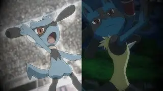 Riolu & Lucario AMV - Animals (request)