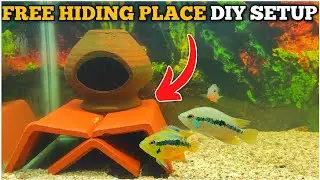 3 Feet Aquarium Me Free Hiding Place Rakha | Easy DIY Setup - Morbi Fish 