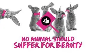 Cruelty-Free Skincare and Cosmetics - Find Out How We Test Beauty Products