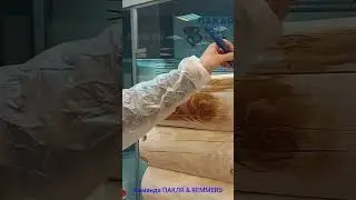 Вот это цвет! HK-Lasur REMMERS- Команда ПАКЛЯ