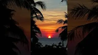 Bee Gees Too Much Heaven Slowed Reverb