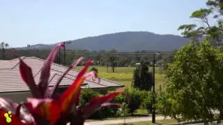 55 Sunridge Circuit, Bahrs Scrub