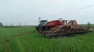 Soybean direct drill green cover Acas Romania