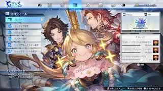 【GBVSR】グラブルバーサスライジング【アニラ使い】
