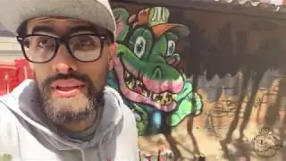 Reptiles bajando por campos de paz | fokografo feat mevz | graffiti Medell&iacute;n Colombia.