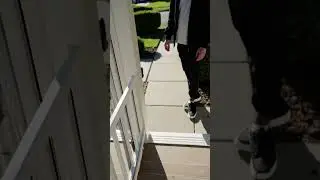 Ring camera footage #aigenerated #aisimulation #bizarre #catatdoor #cctvfootage #confusing