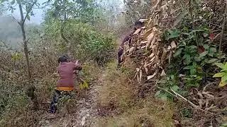 daura kateko ni sathi.ho