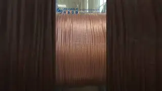 The Manufacturing Process of Bare Copper Conductor Stranded Wire(120mm2) | ZD Cable