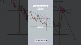 Trendline Rejection FIB retracement rejection from 50% #Trading_Verse #TrendLine #Structure_Base