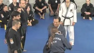 1st JUNG KI HAPKIDO SPAIN SEMMINAR (GM LIM HYUN SOO)