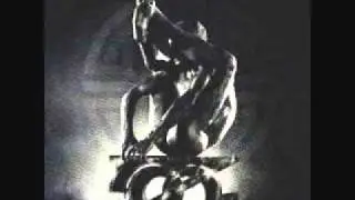 The Zoo - Reach Out