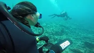 Catherine is creating change through global coral reef research