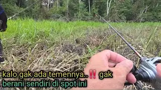 Spot belukar di huni bermacam ikan predator..‼️ & bermacam jenis binatang berbahaya lainnya.