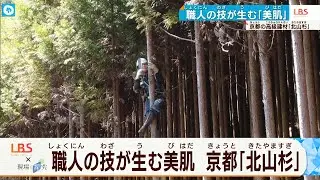 【京都】千利休も愛した「北山杉」の美しい木肌を生む職人技に迫る