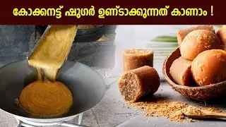 തെങ്ങിൽ  നിന്നും പഞ്ചസാര ഉണ്ടാക്കുന്നത് ഇങ്ങനെയാണ് | Coconut Sugar production