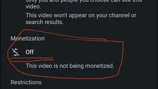 This video is not being monetized