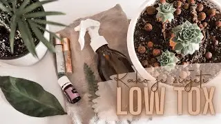 VA&Scaron;E PRETPOSTAVKE O LOW TOX NAČINU ŽIVOTA | nije sve kako se čini