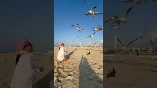 Fed the birds #highlights #dubaitoptouristattraction #dubaiattractions #travel #dubaitouristdest