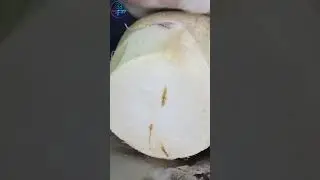 Enjoying coconut is an art #shorts #havesting #coconut