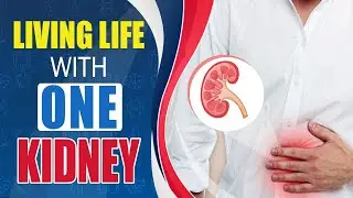 Karma Ayurveda Showcases Facts on Living Life with One Kidney | Karma Ayurveda Hospital