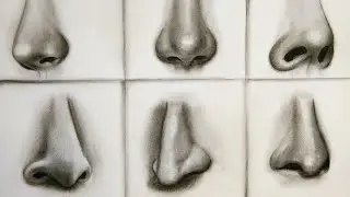 6 Noses Realistic Drawing | Front View and Side View Tutorial | Nose drawing Step by Step