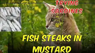 STEAKS on Friday! Trying Herring in Mustard Sauce | Beachcliffs Fish Steaks