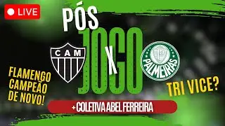 PÓS-JOGO ATLÉTICO MG 0X3 PALMEIRAS | ANÁLISE+COLETIVA NA ROXA | FLAMENGO CAMPEÃO!