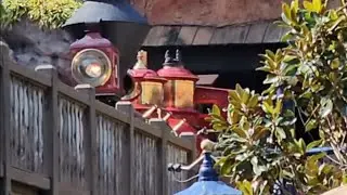 Trying To Record Red Disney World Steam Train from Behind Splash Mountain...