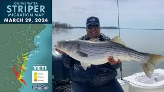 Отчёт о миграции Striper | 29 марта 2024 г.