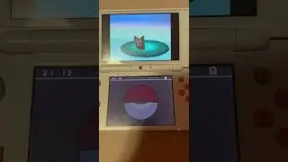 Shiny Trapinch from Year of Dragon Egg event