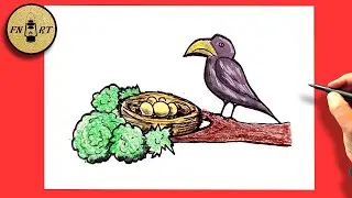 How to draw a crow nest