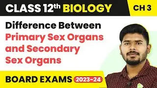 Difference Between Primary Sex Organs and Secondary Sex Organs - Human Reproduction|Class 12 Biology