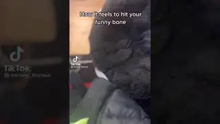 How it feels to hit your funny bone🙃🦴