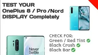 CHECK your OnePlus 8/8T/Pro/Nord DISPLAY Completely in this Video!
