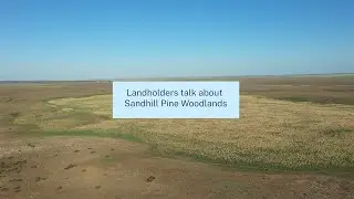 Sandhill Pine Woodland Restoration project &ndash; landholder case study