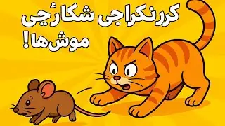 Iran Cat hunting a mouse/  گربه در حال شکار موش در ایران