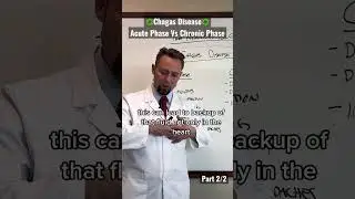 Врач подробно описывает хроническую фазу болезни Шагаса. Часть 2/2