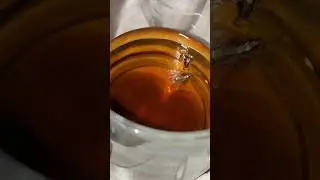 тараканы в больнице