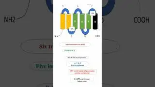 Aquaporins #science #shorts