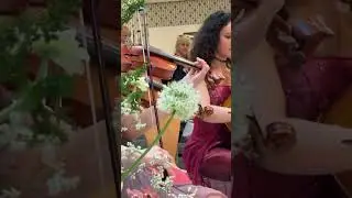 Ed Sheeran - Shape of You for String Quartet. Hire us for your event! #edsheeran #stringquartet