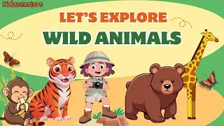 Let's explore Wild Animals for kids| Fun learning video for kids