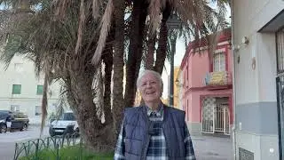 La palmera de Benimaclet