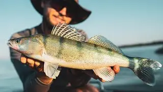 🐺 Zubáče z Dunaja a prespávanie na lodi spolu s @oukrofishing2189 🤩🐟🎣