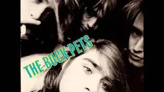The Buck Pets - A Little Murder