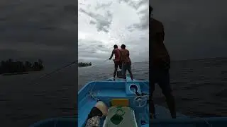 Fishing Time 😁❤️🐬 #fishing #jackfish #boat #oceanlife