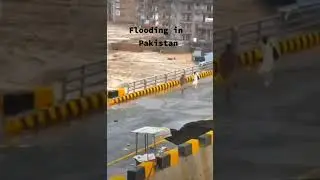 Terrible Disaster: Flooding in Pakistan  - Weather Disaster🌪️