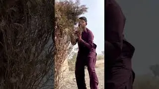 Funny Video watch end #shorts #viral