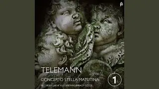 Concerto for Recorder & Oboe in F Major, TWV 54:F1: I. Vivace (Live)