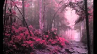 Dj Female rabbit-Set for YT Serbian trance wave.wmv