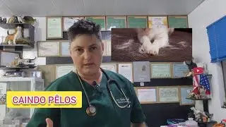 T&Aacute; CAINDO P&Ecirc;LOS???